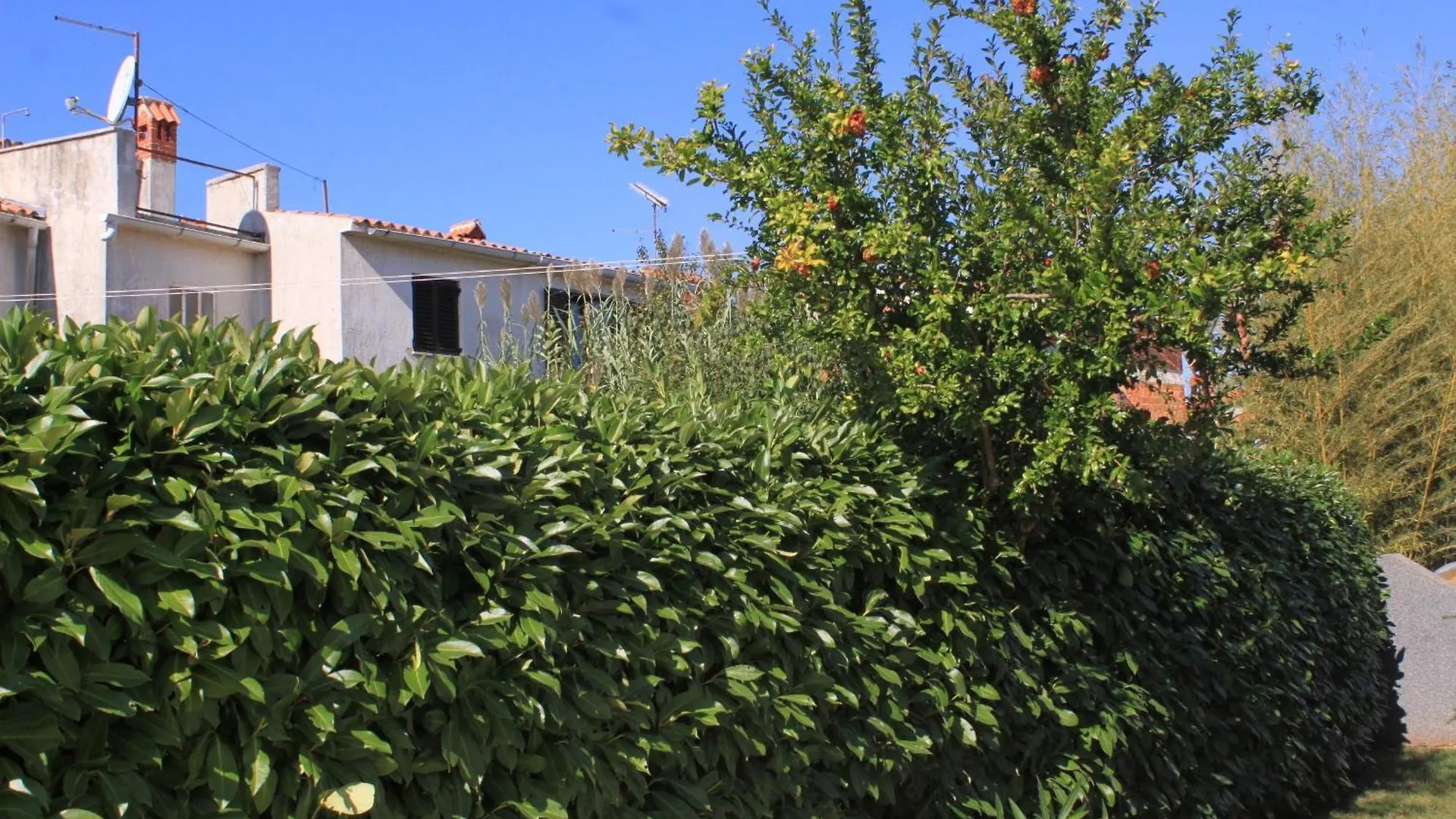 Apartments With A Parking Space Valbandon, Fazana - 7304